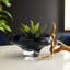 Drifting Landscape & Nature Figurines & Sculptures