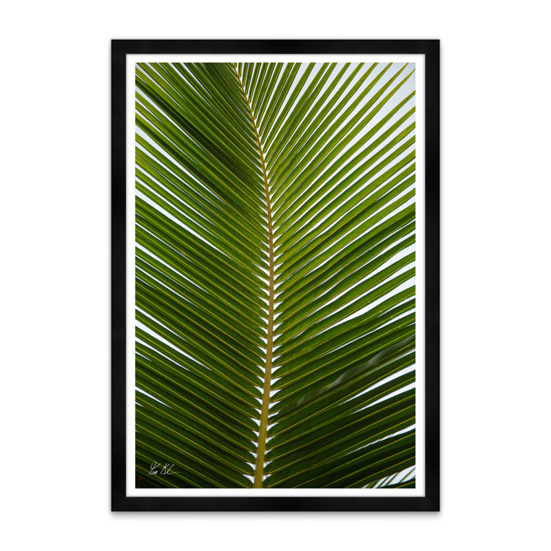 Palmier tropical, Noir, H 42 po x l 29 po x P 1,5 po, Lustre photo encadré