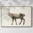 Natural Framed Canvas is unavailable