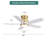 Rita 42" 5-Blade Gold Modern Ceiling Fan Light With 6-Speed Adjustable Wind Speed-1192645663
