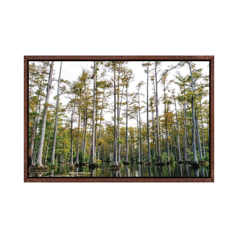 Charleston Cypress Gardens LII by Bethany Young - Print on Canvas, Classic Brown Wood Framed