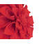 Coussin décoratif Floral-88582403-88582413