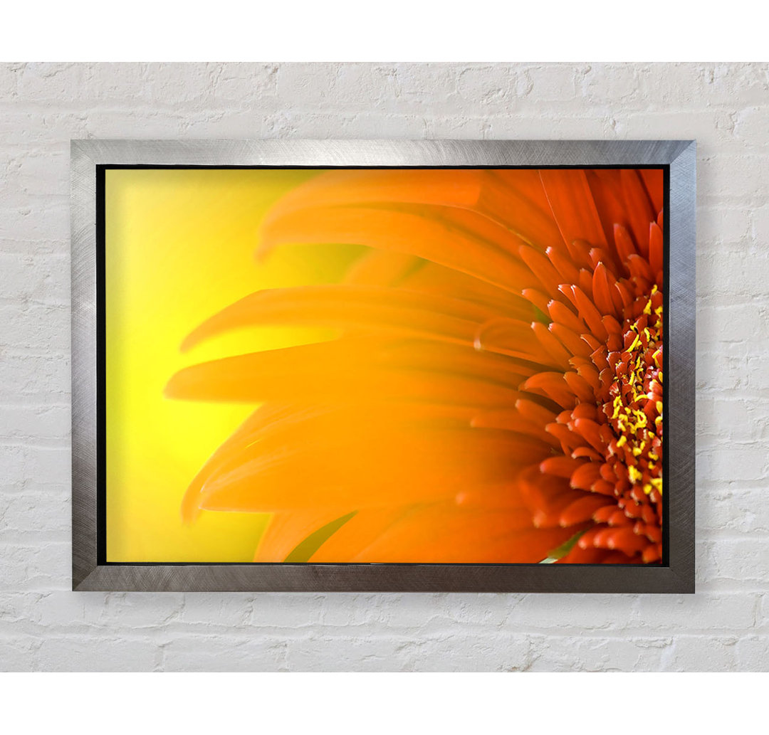 Orange Flower Mist - Einzelner Bilderrahmen Kunstdrucke