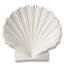 Ceramic Platter-48487598