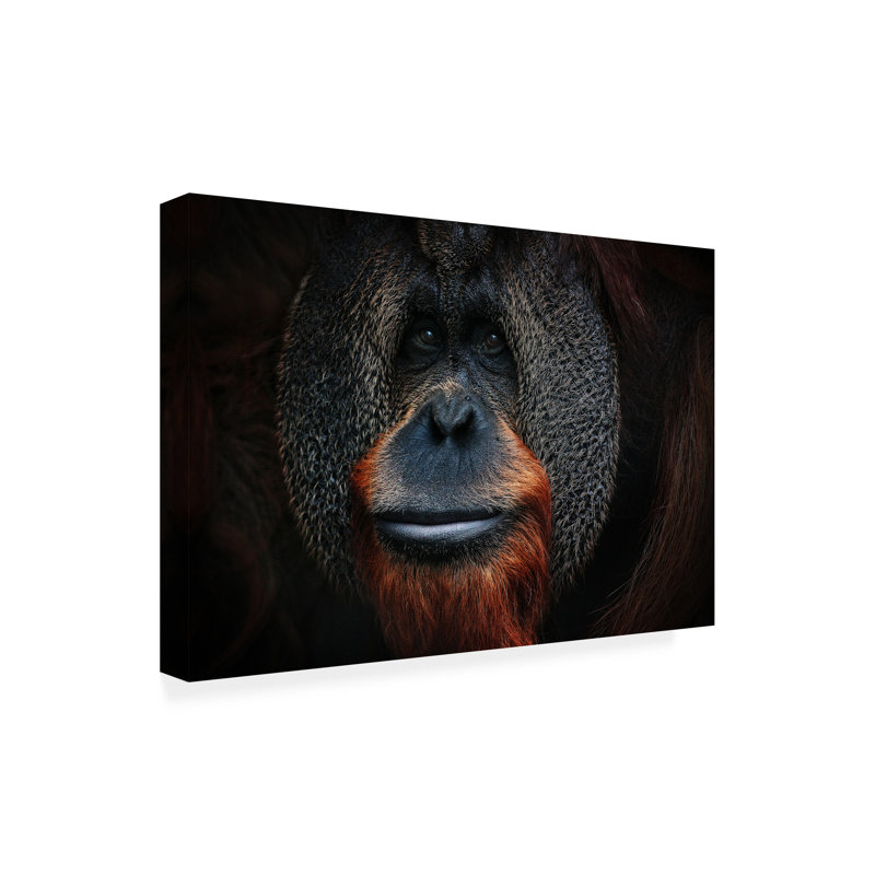 Art sur toile Antje Wenner Braun, H 12 po x l 19 po