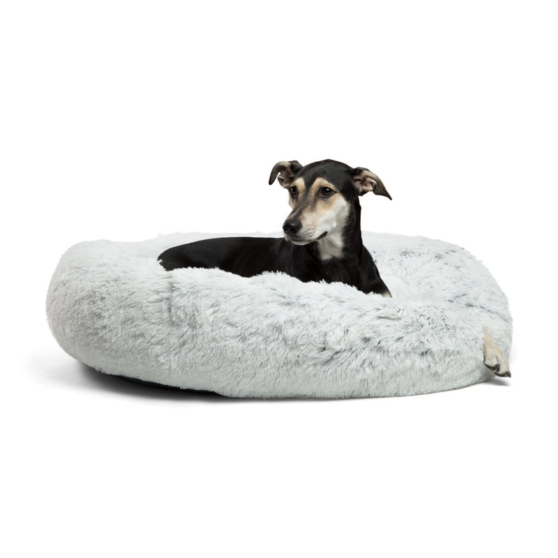Lit pour animaux en fausse fourrure Tucker Murphy Pet ™, Grand (l 36 po x P 36 po x H 9 po), Shag Frost