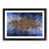 Black Framed selected