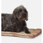 Newton Polyester Pet Bed-17270899