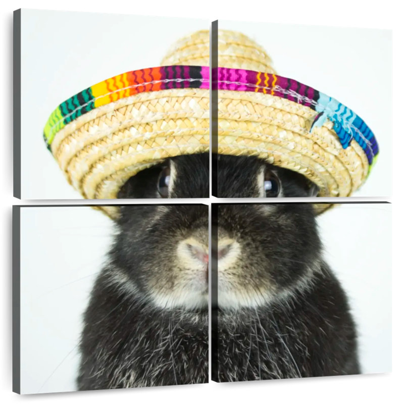 Brampt Rabbit Wearing Sombrero, 50" H x 50" W