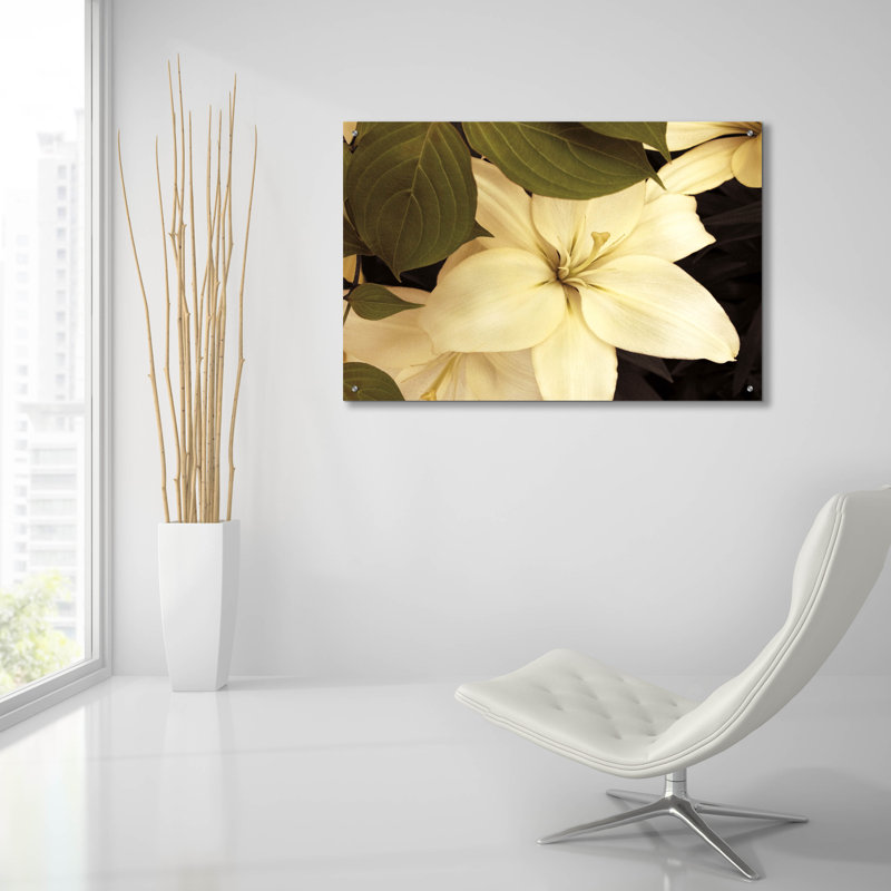 «Lily And Leaves» par Rebecca Swanson, H 24 po x l 36 po x P 0,2 po