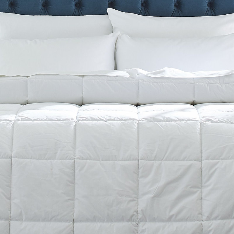Édredon surdimensionné à passepoil en coton percale 240TC Pointehaven, Reine