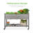 Elevated Planter W/ Wheels-730972935