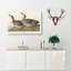 Gadwall Duck by John James Audubon - Wrapped Canvas-55365994