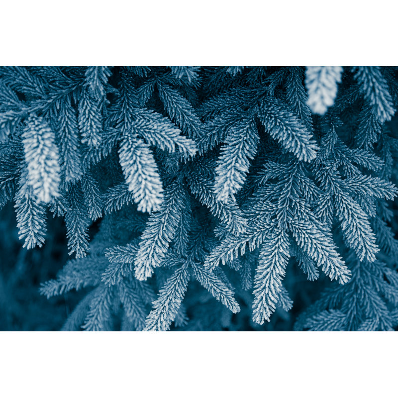 Branches de pin givré par Danilovi, H 24 po x l 36 po