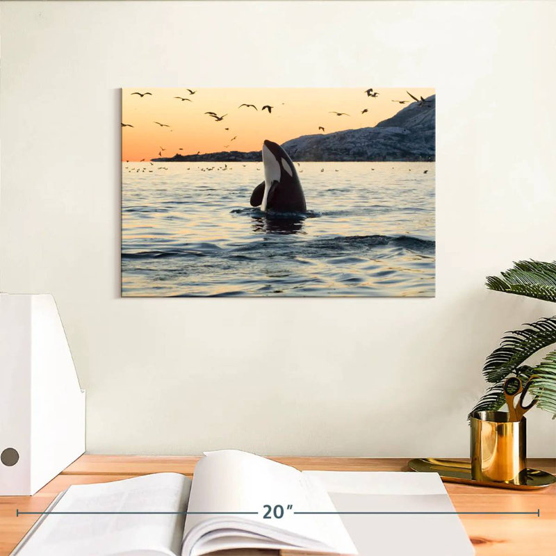 Brampt Spyhopping Orca Whale, 8" H x 12" W