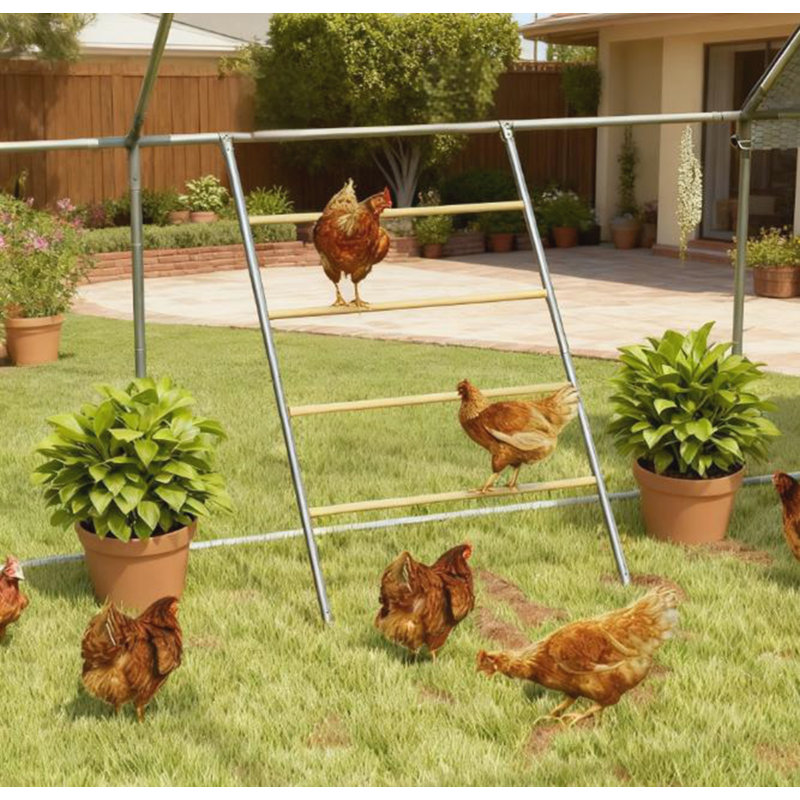 Chost Roost for Coop, Jungle Gym Roosting Bar, 55 po x 33,75 po