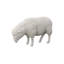 Sheep Sculpture Gel Coat-72847590