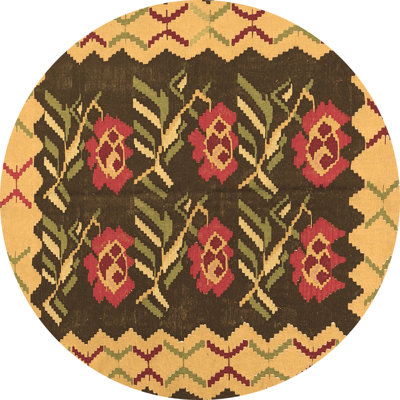 Oriental Indoor Rug