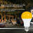 9 Watt, A19 LED, Non-Dimmable Light Bulb, Warm White E26/Medium (Standard) Base