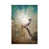 Toile tendue