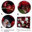 Red Cherry Sundae Delight - Art mural cerise-1698241380-1698241424