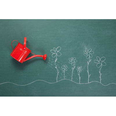 Red Watering Can and Flowers by Selimaksan