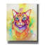 «Pop Art Tabby Cat» par Furbaby Affiliates, art mural sur toile, 40 po x 54 po-101649072