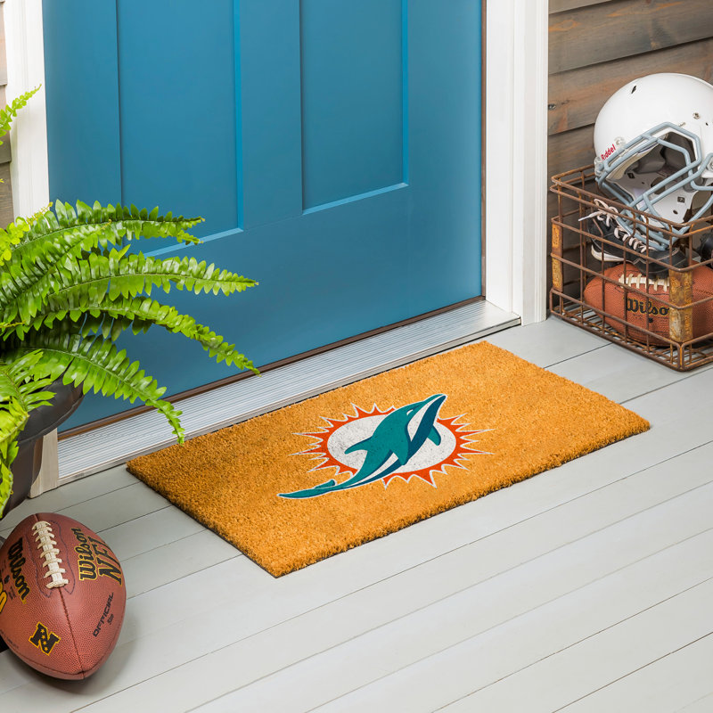 Paillasson Jeremias, Dolphins de Miami