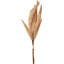 Mulberry Brown Dried Flower Bunch-119034008-119034009
