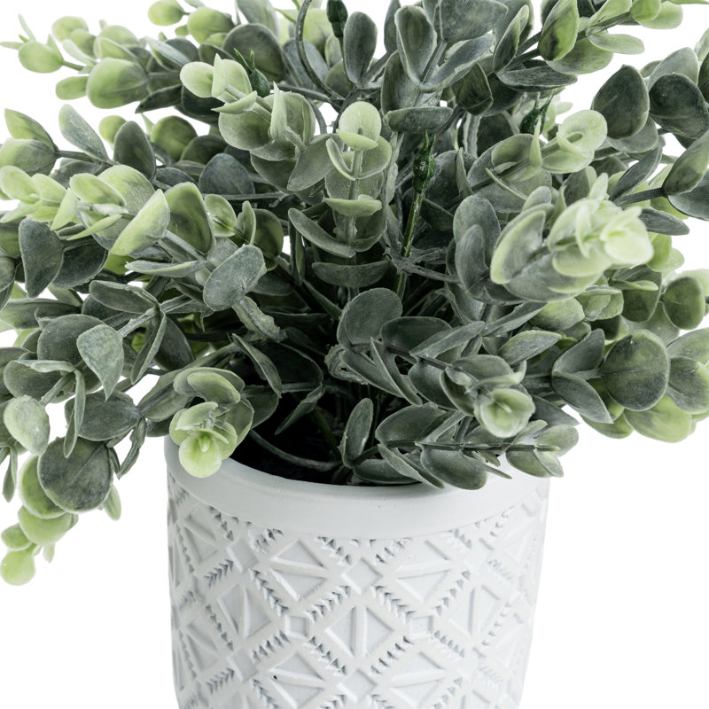 24.89 Cm Faux Eucalyptus Plant in Pot