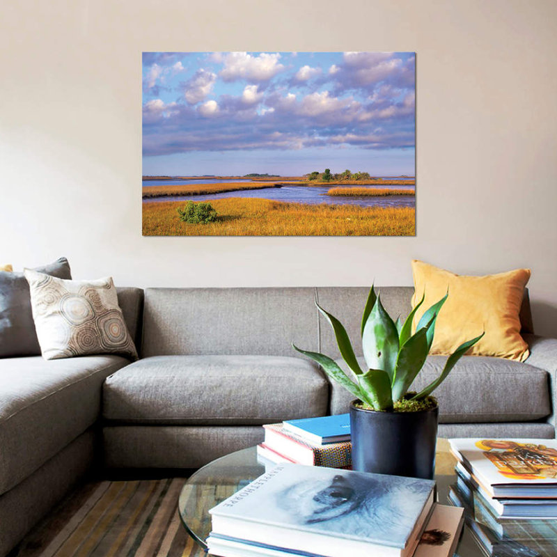 «Saltwater Marshes at Cedar Key, Florida», reproduction de photo sur toile, H 26 po x l 40 po x P 1,5 po