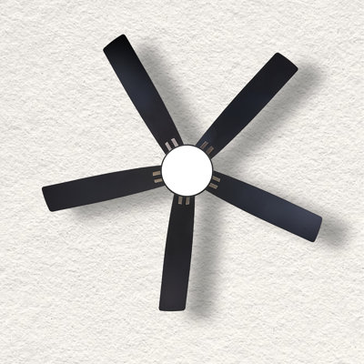 60'' Ceiling Fan With Light