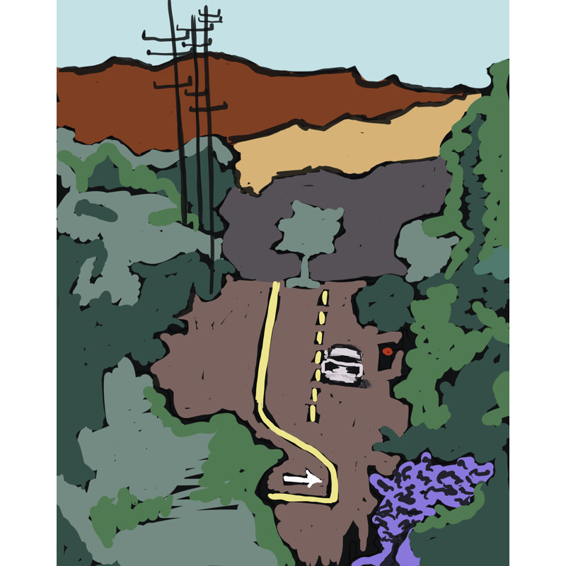 Jacaranda Hill Print by Deborah Blum, 21.25" H x 17.25" W x 0.875" D
