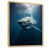 Natural Floater Framed
