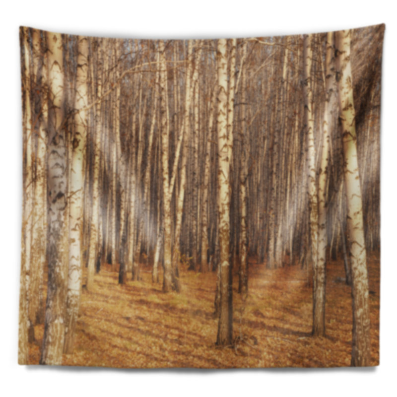 Polyester Tapestry, 50" H x 60" W