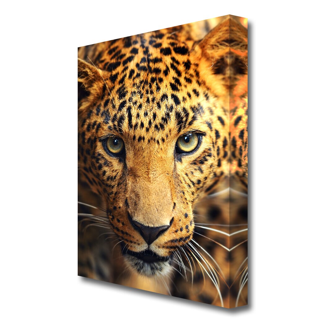 Poster Starrender Leopard