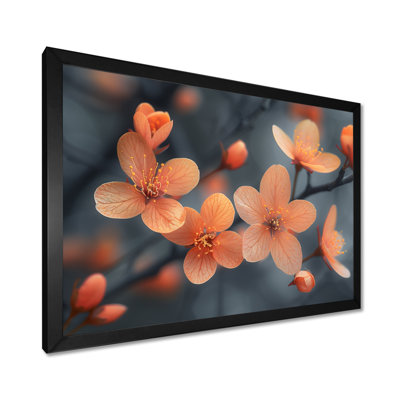 Pastel Orange Cherry Blossom Photo - Cherry Blossom Wall Art