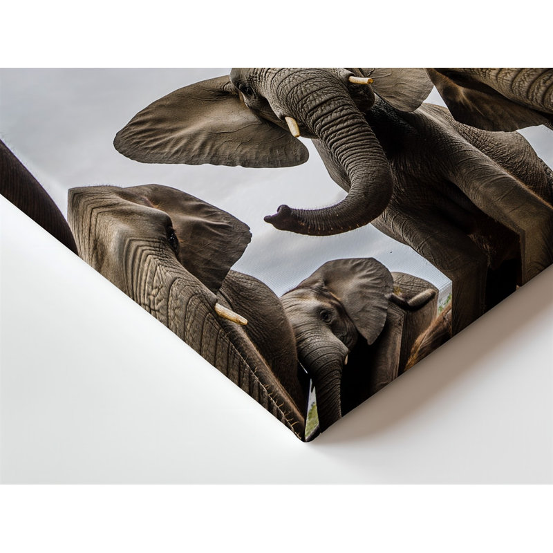 Toile, une scène captivante mettant en vedette un groupe d'éléphants ludiques, art mural capturé sous un angle faible créant une perspective dynamique
