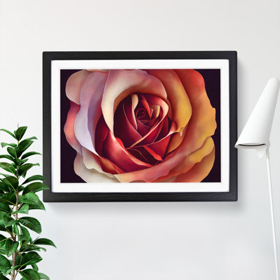 Appealing Rose Flower - Single Picture Frame Print