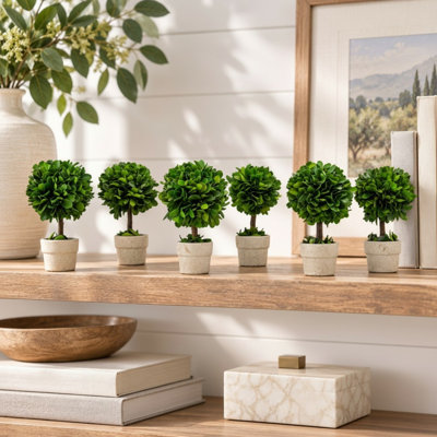 Meridian 6" Handcrafted Preserved Boxwood Topiaries in Terracotta Pots