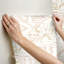 Papier peint Brisbane-89017844
