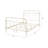Citron White Finish Full Bed