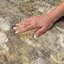 Tapis floral à poil long de qualité supérieure lavable à la machine ADS613-130445176-130445181