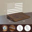 LED American Tabletop Coin Display Case