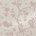Chalk Pink