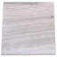 Athens Grey Marble 12 in. x 12 in. Marble Tile