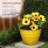 Indoor/Outdoor Round Planter-1224369397-1246871186