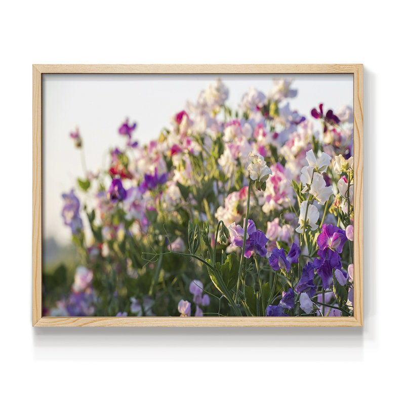 Spring is here -Framed Print - Restickable, 8" H x 10" W, Natural