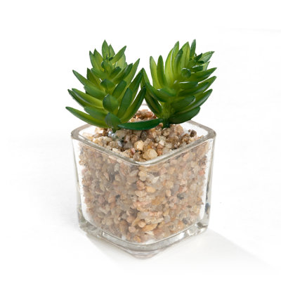 4.3 " H Faux Succulent Plant in Glass Pot
