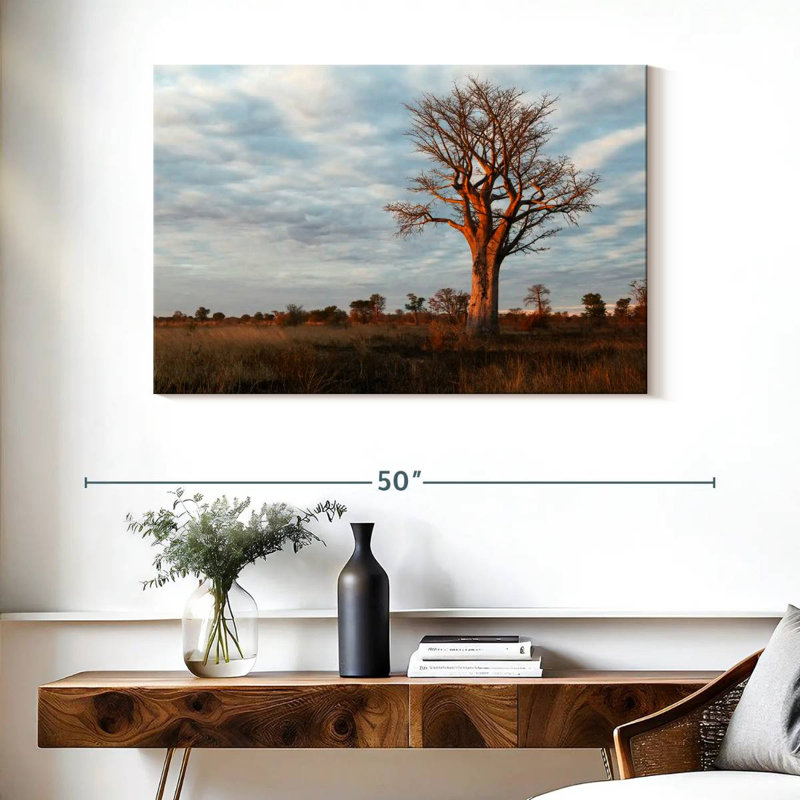 Baobab zambien Harnek, H 26 po x l 39 po